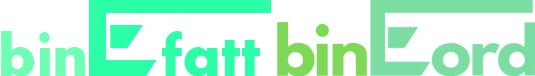 logo binEfatt